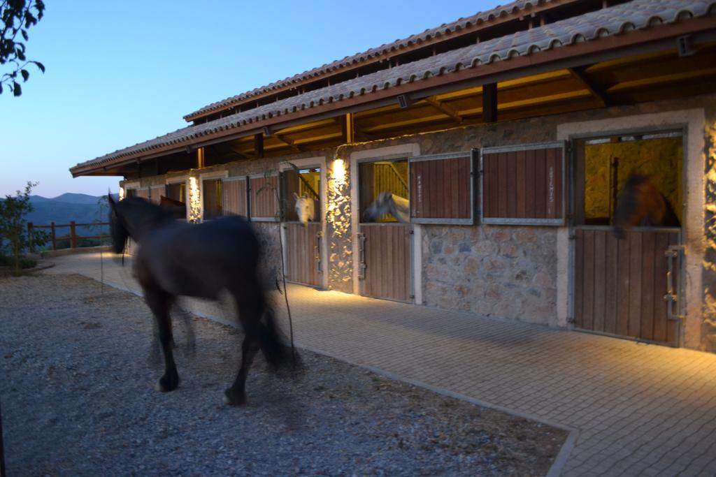 Country Hotel Velani Avdou Buitenkant foto
