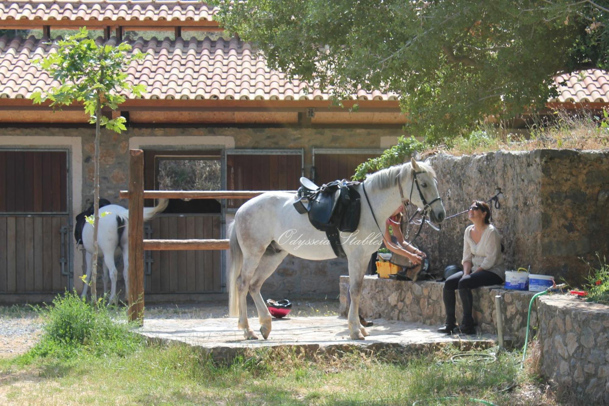 Country Hotel Velani Avdou Buitenkant foto